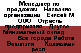 Менеджер по продажам › Название организации ­ Енисей-М, ООО › Отрасль предприятия ­ Другое › Минимальный оклад ­ 100 000 - Все города Работа » Вакансии   . Калмыкия респ.